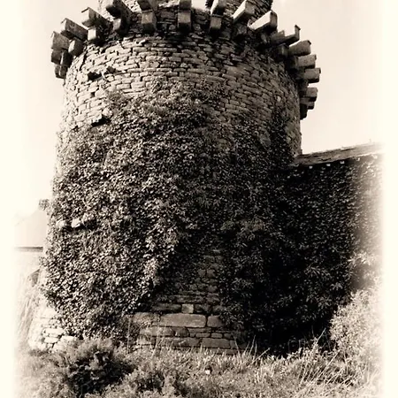 Avec Piscine Entre Redon Et La Roche Bernard Saint-Dolay